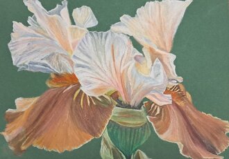 Joy Schmidt Art 'Raumnahme'