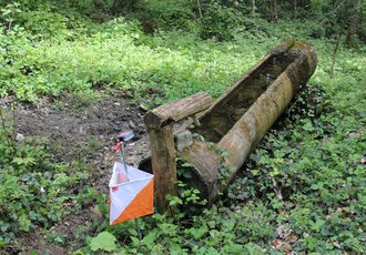 Nationales OL-Wochenende