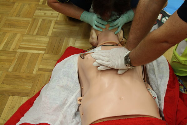 BLS-AED-SRC Komplett   ( Herzmassage Grundkurs )